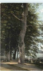 Gremsmühlen - Diekseepromenade