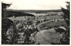 Tanne Harz