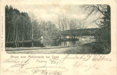 Gruss vom Mühlenteich bei Varel
