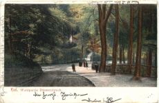 Kiel - Waldpartie Düsternbrock