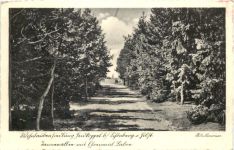 Schönberg Holstein
