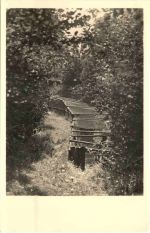 Wyk auf Föhr - In der Vogelkoje