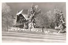 Feldberg Bärental - Gasthaus zum Adler