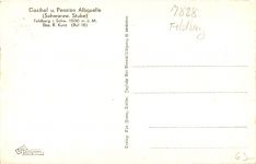 Feldberg - Gasthof Albquelle