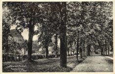 Arolsen - Fürstenallee