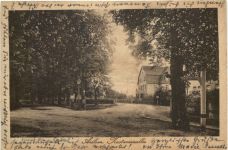 Arolsen - KAstanienallee
