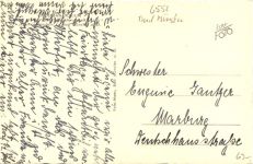 Bad Münster am Stein - Villa Rheingrafenstein