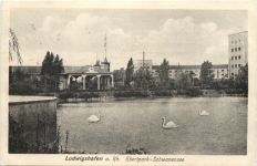 Ludwigshafen am Rhein - Ebertpark Schwanensee