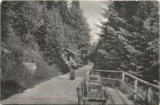 St. Blasien - Philosophenweg