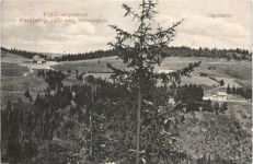 Hotel Feldbergerhof