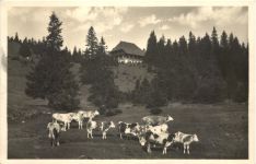 Feldberg - Naturfreundehaus