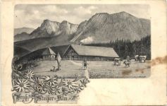 Gruß von der Stoißer Alm