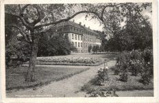 Kork - Pflegeanstalt