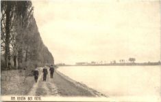 Der Rhein bei Kehl am Rhein