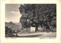 Singen Hohentwiel - Scheffellinde