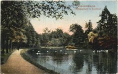 Donaueschingen - Schwanenteich