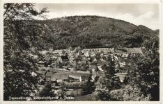 Immendingen