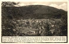 Immendingen