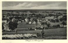 Villingen im Schwarzwald