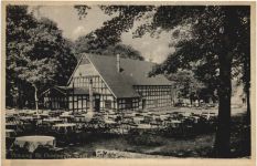 Monning im Duisburger Wald