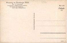 Monning im Duisburger Wald