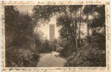 Münster in Westfalen - Kreuzschanze