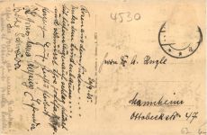 Ibbenbüren - Dörenther Klippen