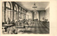 Dresden - Zwinger Porzelangallerie