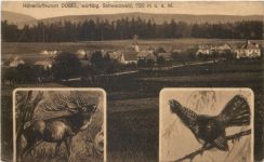 Dobel im Schwarzwald