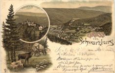Gruss aus dem Schwarzathal - Litho