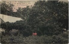 Tahiti - La Maiore