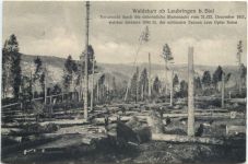 Waldsturz ob Leubringen bei Biel