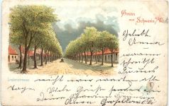 Gruss aus Schwerin Warthe - Lindenstrasse