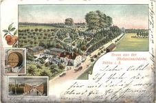 Gruss aus der Obstweinschänke Rötha in Sachsen - Litho