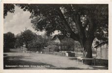 Burkersdorf - Unter der Dorflinde