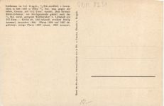 Kirche zu Liebenau im Erzgebirge - Altenberg