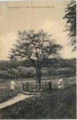 Marienstatt über Hachenburg