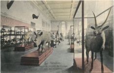 Tervueren - Nouveau musee du Congo