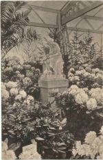 Dresden - III. Intern. Gartenbau Ausstellung 1907