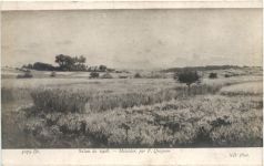 Salon de 1908 - F. Quignon