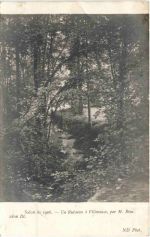 Salon de 1908 - H. Biva