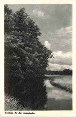 Reinbek - An der Liegesbuche