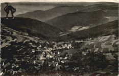 Waldkatzenbach im Odenwald
