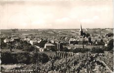 Freinsheim an der Weinstrasse