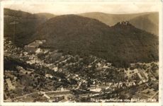 Ramberg Pfalz - Flugzeugaufnahme
