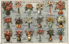 Blumensprache