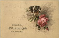 Hund - Namenstag
