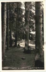 Königsfeld - Doniswald