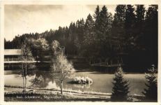 Königsfeld - Sägeweiher