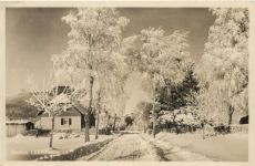 Honau - Station Lichtenstein - Albhotel Traifelberg